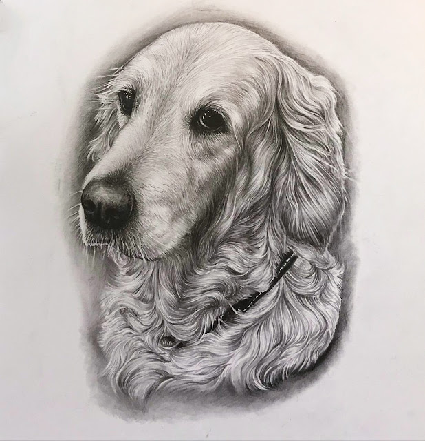 Cute Dogs Drawings