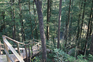 Looking down staircase