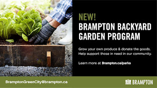 Brampton - Backyard Garden Program