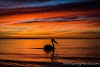 Ultimate Experience at Kangaroo Island 