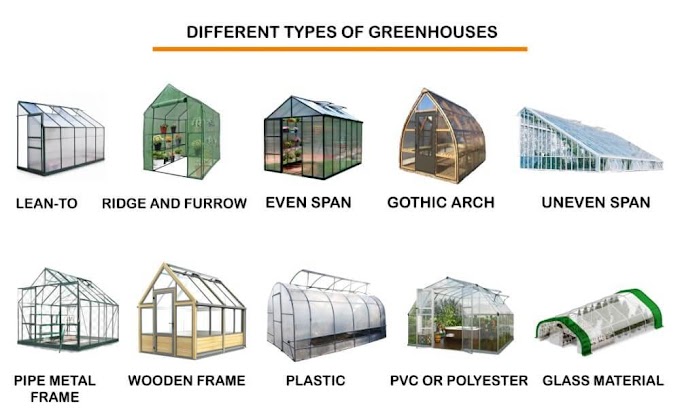 Types of Green House