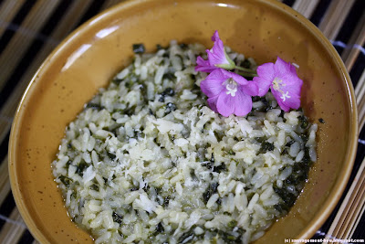 Risotto au chénopode blanc décoré avec quelques fleurs d'épilobe à grandes fleurs