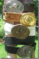 belts_rosebud_long