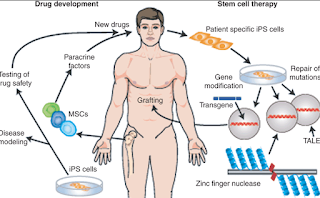 Stem Cell Therapy for Cerebral Palsy(CP)