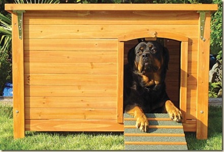 casas para perros-h