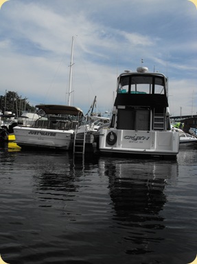 Seattle Tours 203