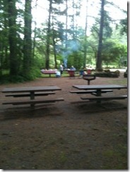 Picnic 2