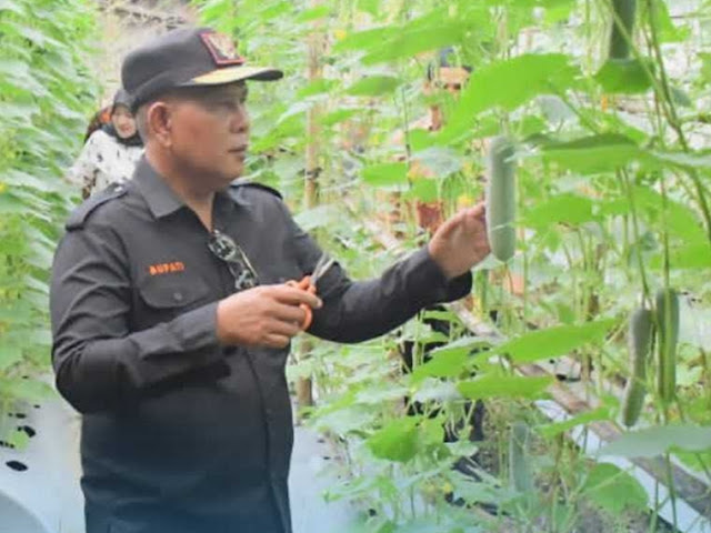 Bupati Kayong Utara Harapkan Masyarakat Manfaatkan Pekarangan Secara Produktif