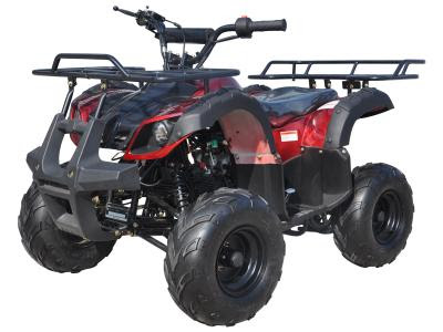 https://www.megamotormadness.com/atvs