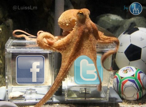 pulpo-twitter