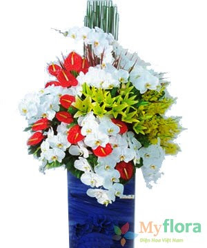 Hoa khai trương Phát Triển Bền Vững 2- Hoa tươi MyFlora