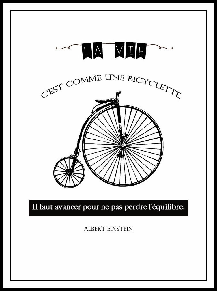 Elobibilafee La Vie C Est Comme Une Bicyclette Il Faut Avancer Pour Ne Pas Perdre L Equilibre Albert Einstein