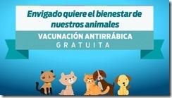 1280x720px-100-vacunación-antirrábica-678x381