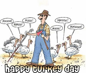 Funny Turkey Pictures