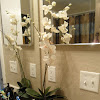 Images Of Bathroom Decorating Ideas : Add Glamour With Small Vintage Bathroom Ideas - The bathroom is truly one of the most important rooms in the house.