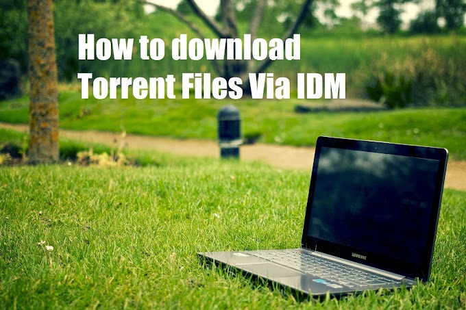 How to Download Torrent Files With IDM in 3 Simple Steps