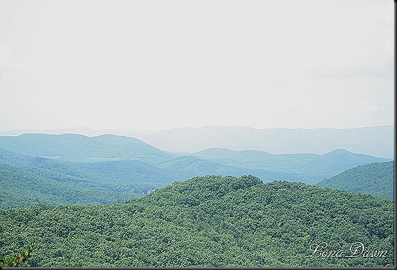 S_Sawmill_Run_Overlook