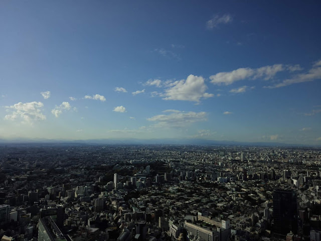 Top of  SHIBUYA SKY