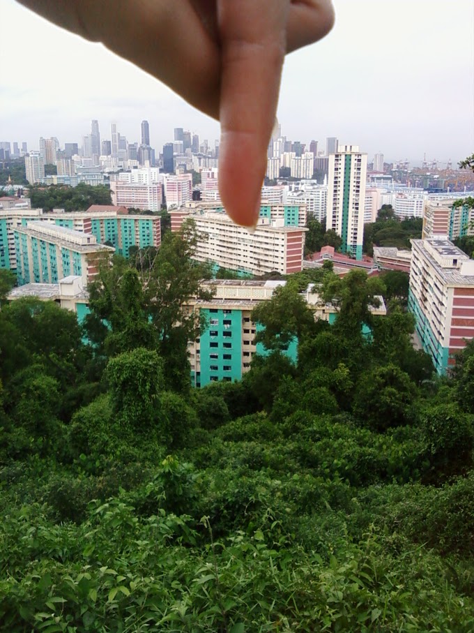 View From Mount Faber Singapore