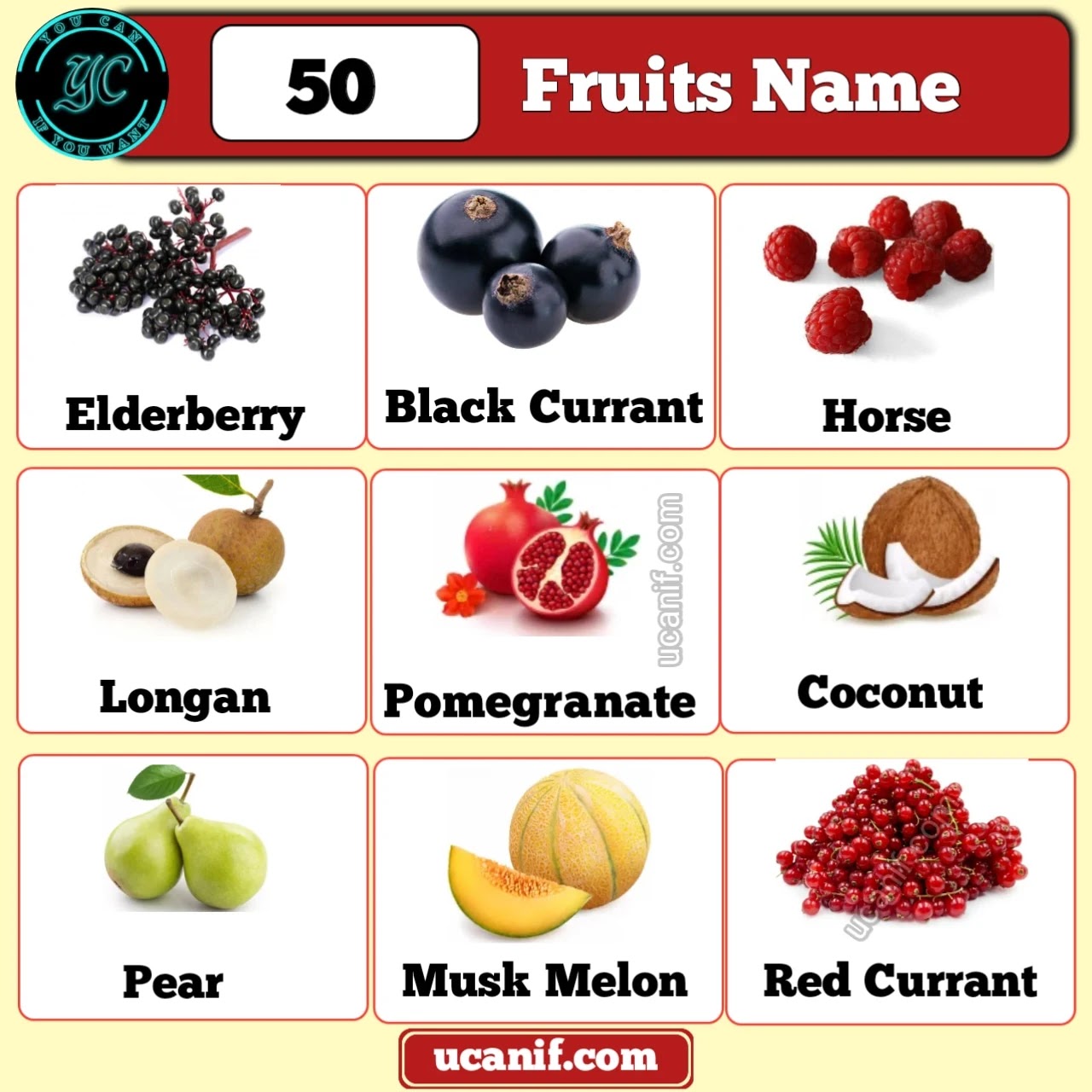 Popular Fruits Name in English (A to Z) with Pictures | From ...