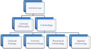 Criminology definition