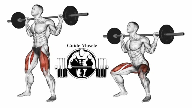 SQUATS