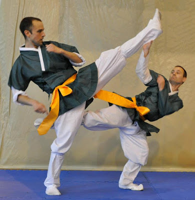 http://www.taekkyonusa.com/semianire-taekkyon.jpg