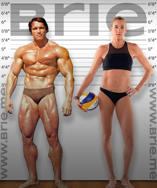 Arnold Schwarzenegger height comparison with Kerri Walsh Jennings