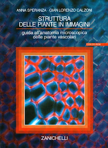 Struttura delle piante in immagini. Guida all'anatomia microscopica delle piante vascolari. Con CD-ROM