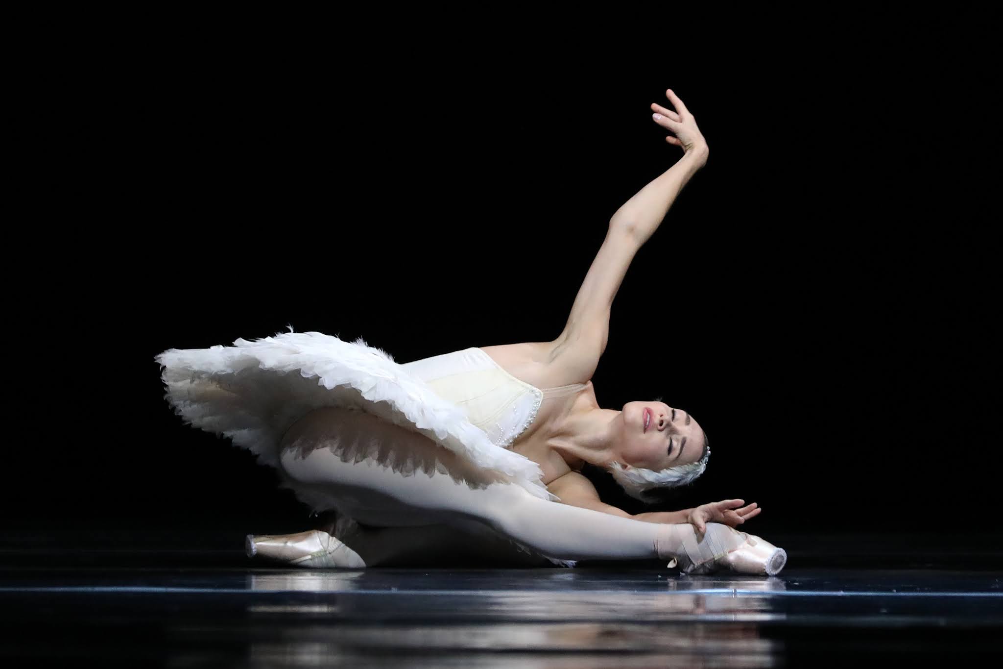Terpsichore: Dutch National Ballet - 