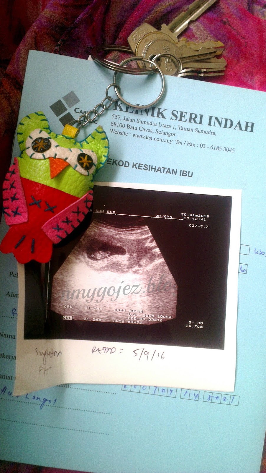 I am a mother of TWO: [Review] : Pregnancy Check Up di 