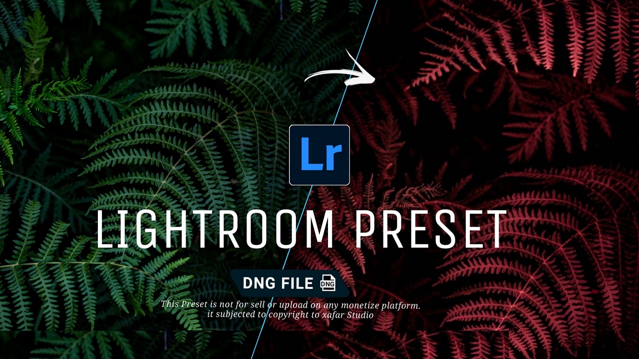 Download Kumpulan Preset Lightroom Terbaru Untuk PC, Mobile Android dan iOS- Bahyudinnor.com