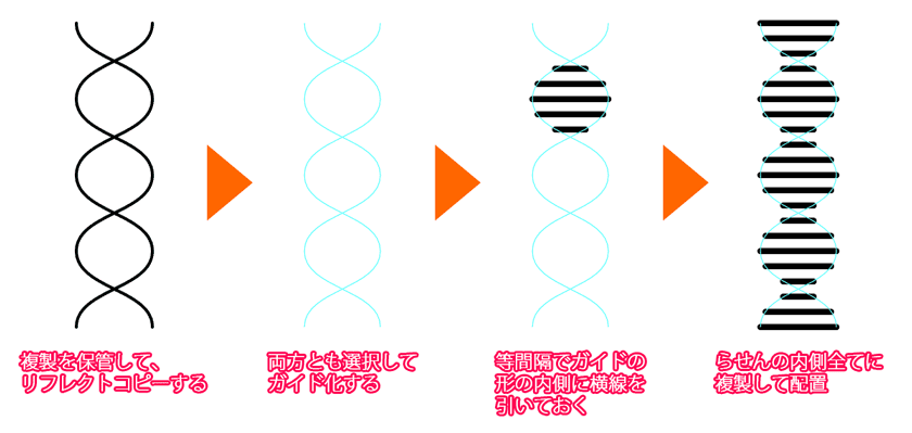 イラレで Dna 二重らせんを描く方法 Illustrator Cc 使い方 セッジデザイン