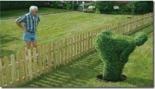 neighbors2