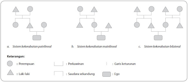 Sistem kekerabatan