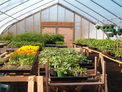 May 2004 Genes Greenhouse