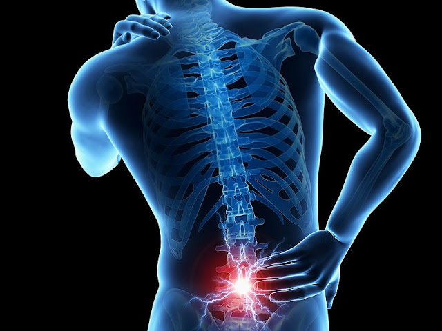 What is a back disease with an explanation of the causes and risk factors | healthy care