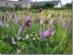 2011.07.25-034 jardin potager