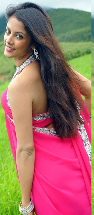 rithika in pink saree hot images