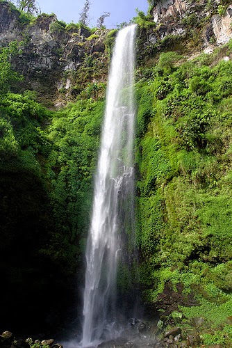  dira wisata semarang - coban rondo