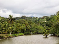 Botanical Gardens Kauai