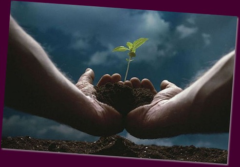 ideas-salvar-el-planeta