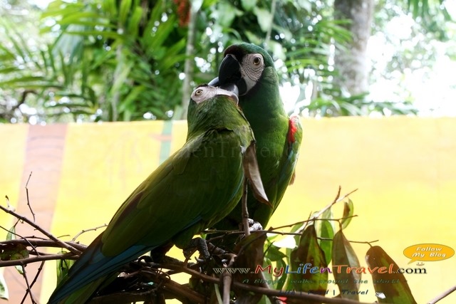 Langkawi Wildlife Park