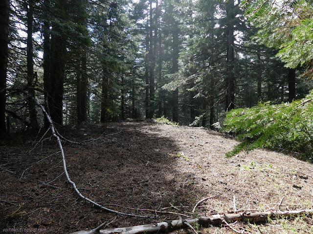 Chaparral Mountain top