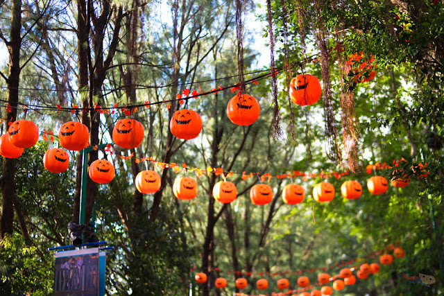 Halloween 2017 in Ocean Park Hong Kong