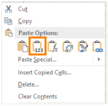 Paste Values Only