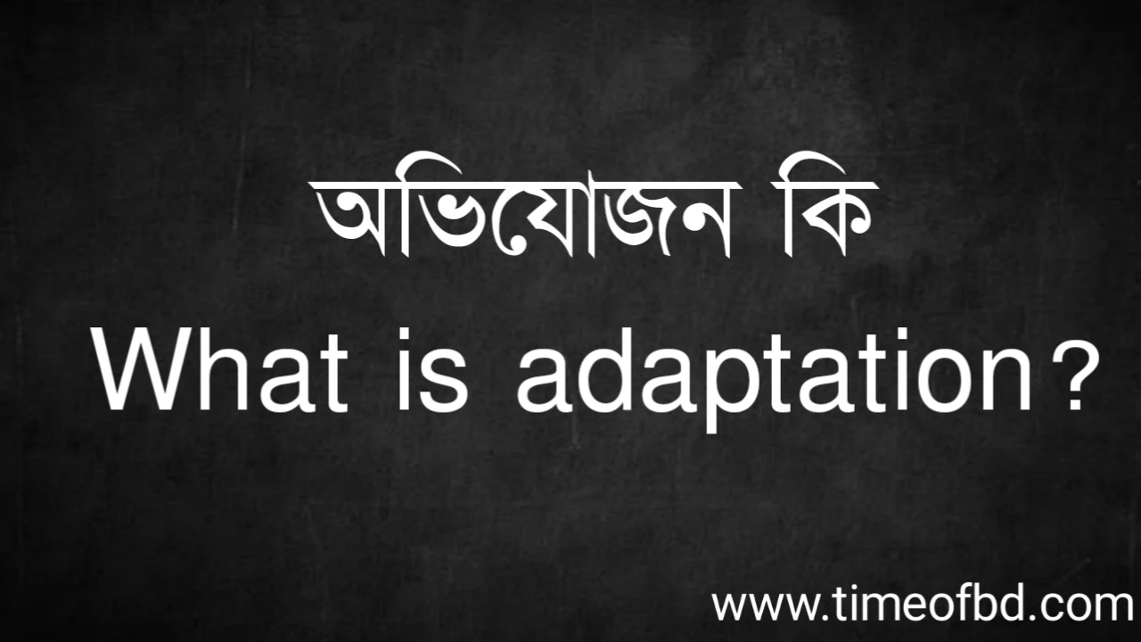 Tag: অভিযোজন কি | What is adaptation?
