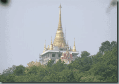 nsnpagoda[2]