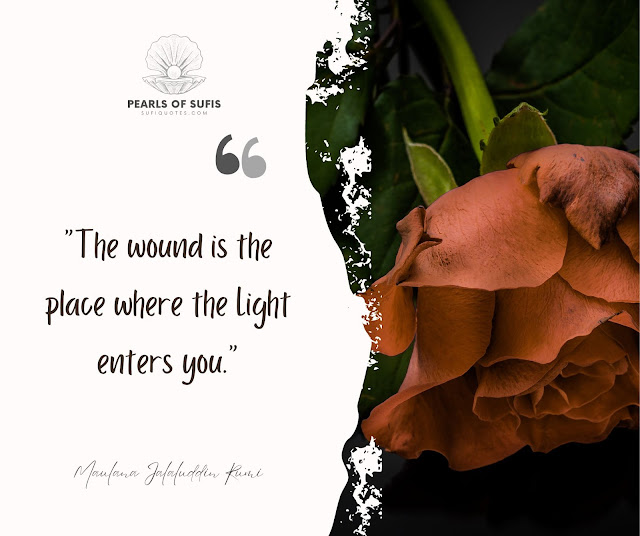 "The wound is the place where the Light enters you." - Maulana Rumi