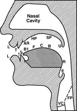 Consonant Sounds on English Speech